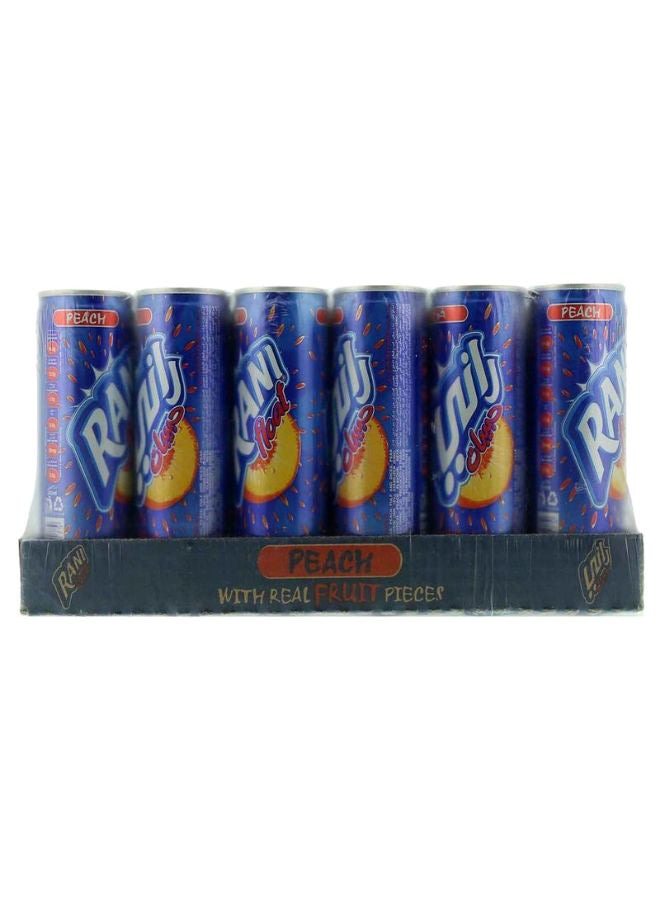 شراب فاكهة الخوخ 240ملليلتر عبوة من 24 قطعة