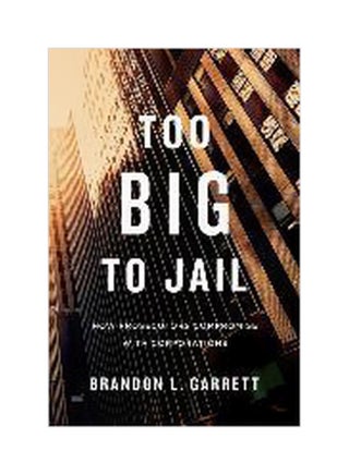 Too Big To Jail Paperback English by Brandon L. Garrett - 26-May-16 - v1562141815/N27390403A_1