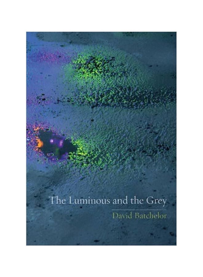 The Luminous And The Grey Paperback English by David Batchelor - 15 March 2014 
