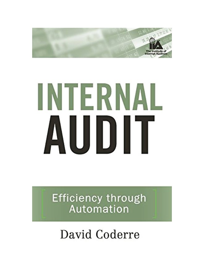 Internal Audit: Efficiency Through Automation hardcover english - 14 January 2009 