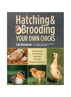 Hatching And Brooding Your Own Chicks Paperback English by Gail Damerow - 41289 