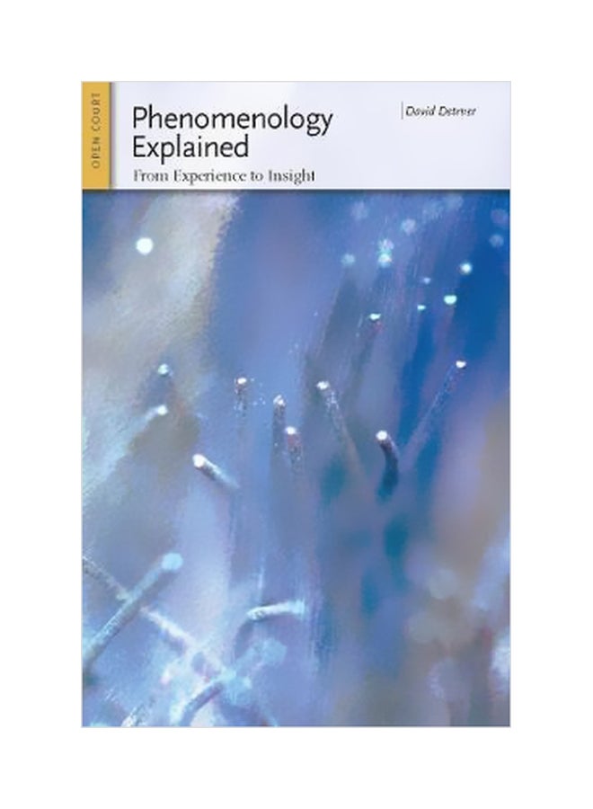 Phenomenology Explained : From Experience To Insight paperback english - 15 October 2013