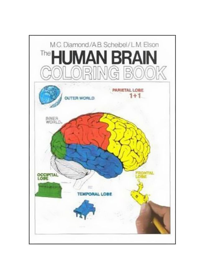 The Human Brain Coloring Book Paperback English by Diamond Books - 31412 