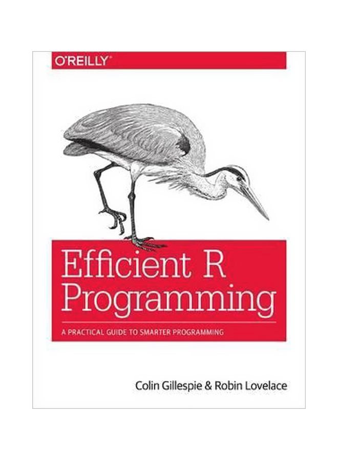 Efficient R Programming: A Practical Guide To Smarter Programming paperback english - 6/Jan/17 