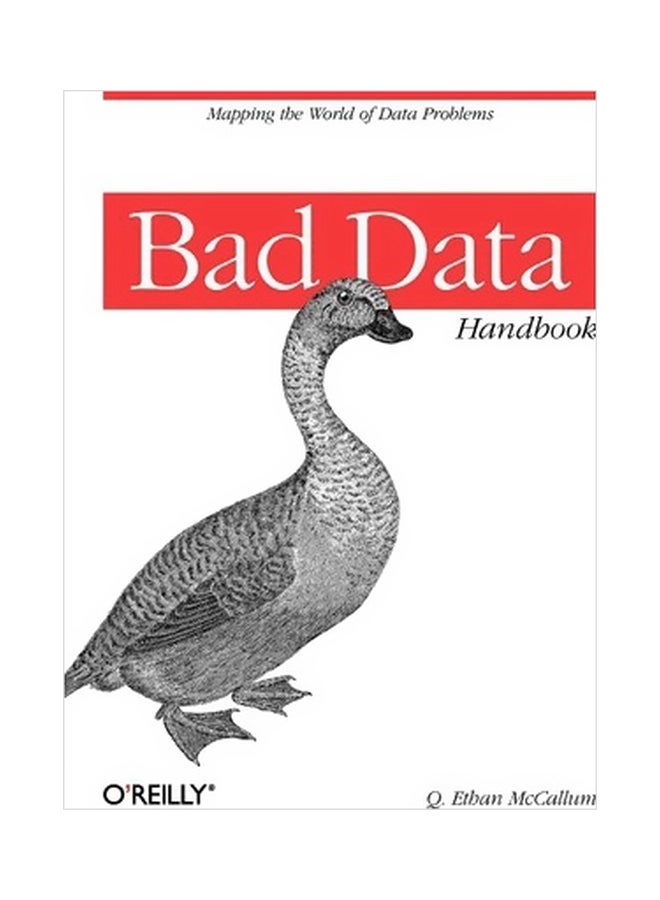 Bad Data Handbook paperback english - 20/Dec/12