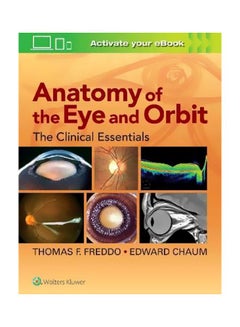 Anatomy Of The Eye And Orbit: The Clinical Essentials Hardcover English by Thomas F. Freddo - 28 July 2017
