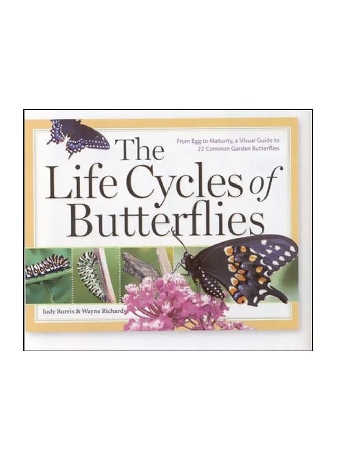 The Life Cycles Of Butterflies Paperback English by Judy Burris - 01-04-2006