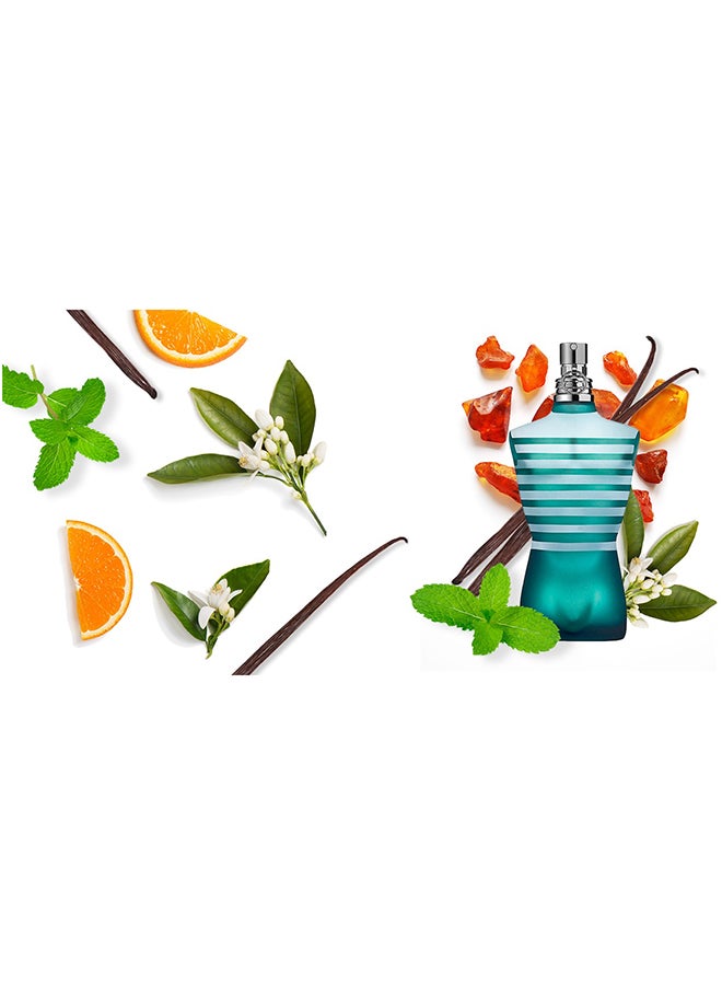 Le Male EDT 125ml - https://f.nooncdn.com/p/v1562676034/N11075543A_7.jpg?width=original