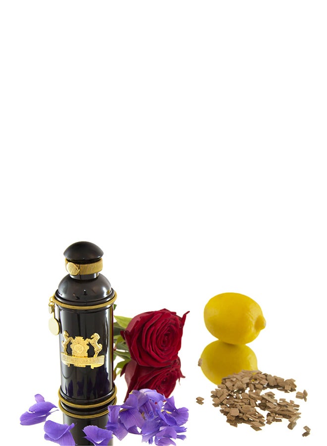 Alexandre J Black Muscs EDP 100ml - Image 4