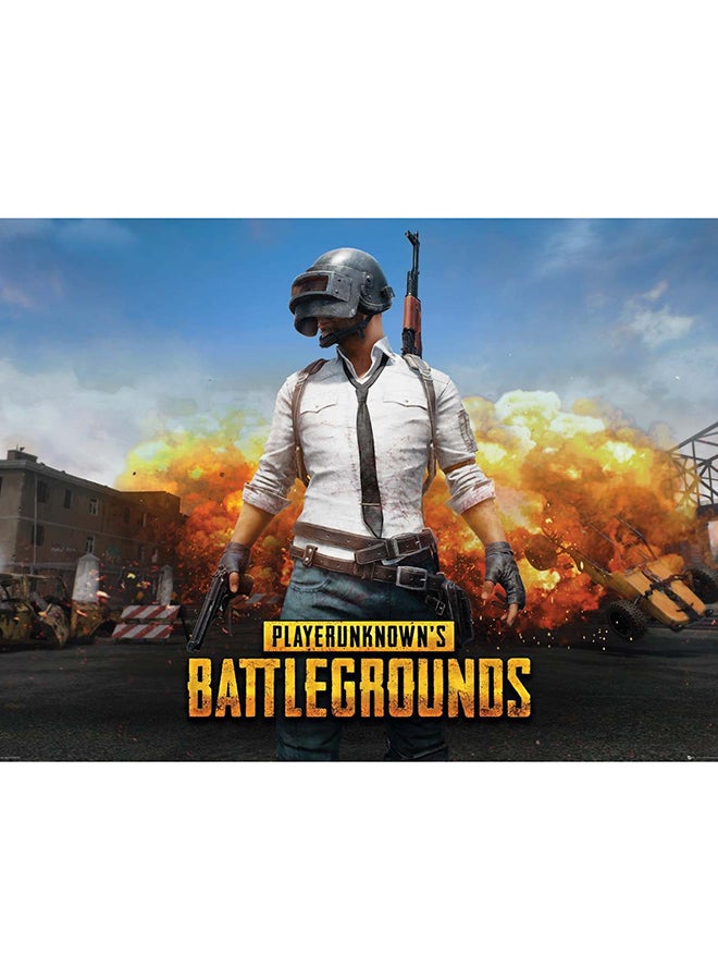 PUBG Poster Multicolour 91.5cm