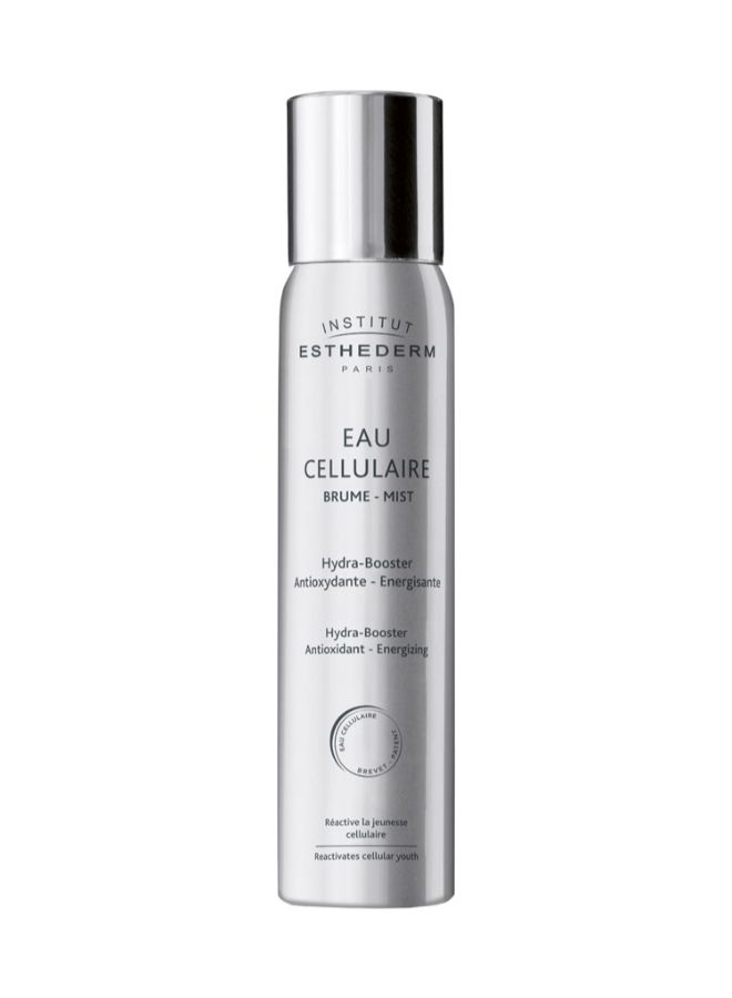 INSTITUT ESTHEDERM - Cellular Water Spray 100ml - Image 1
