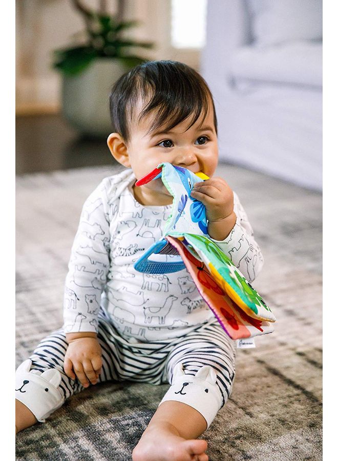 Baby Einstein Curious Explorers Teether Book