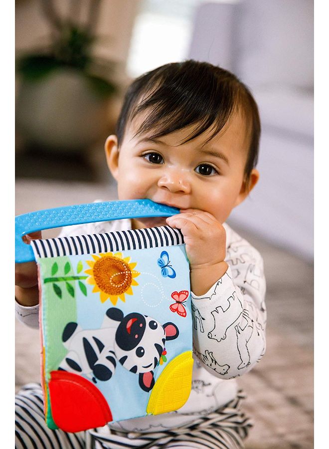 Baby Einstein Curious Explorers Teether Book