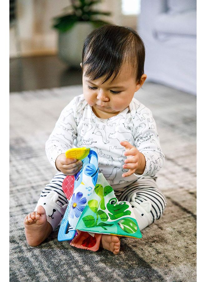 Baby Einstein Curious Explorers Teether Book