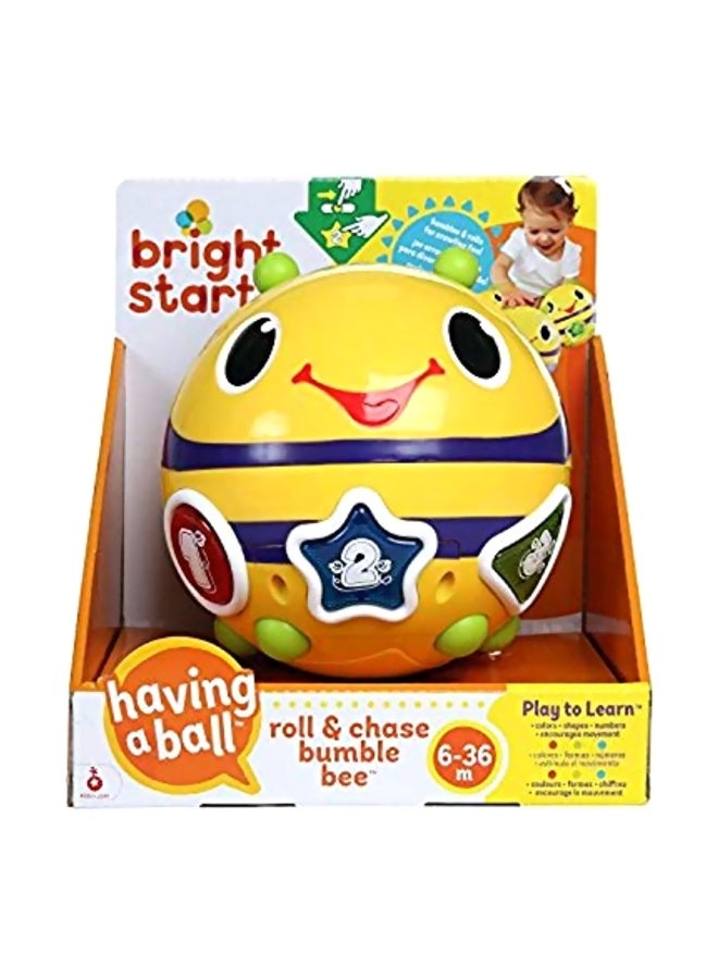 Having A Ball Roll And Chase Bumble Bee Toy