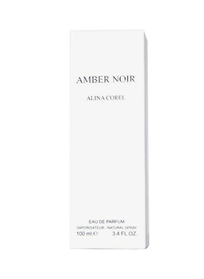 Amber Noir EDP 100ml - v1562911607/N19614832A_1