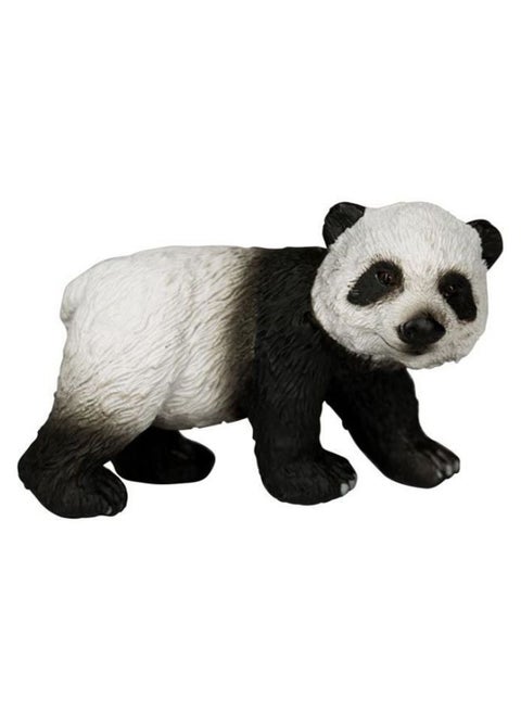 Giant Panda Cub