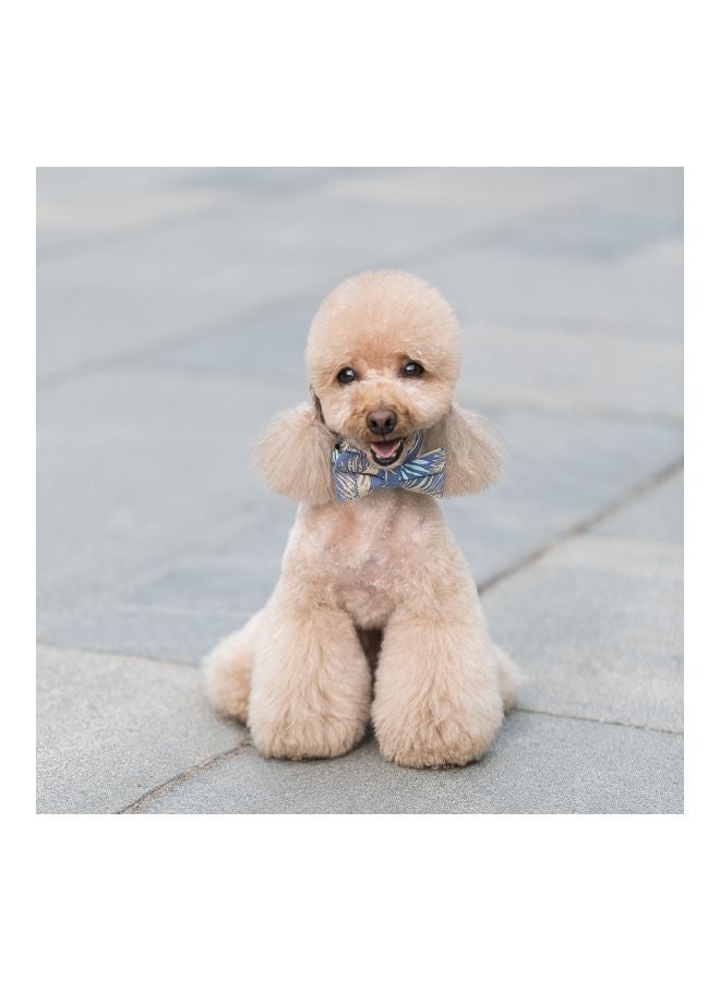 Cloth Art Dog Collar With Belt Blue/Yellow/White - Image 4