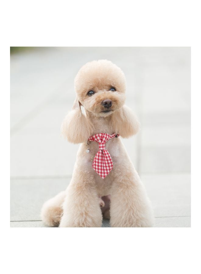 Cloth Art Dog Collar With Belt Red/White - Image 4