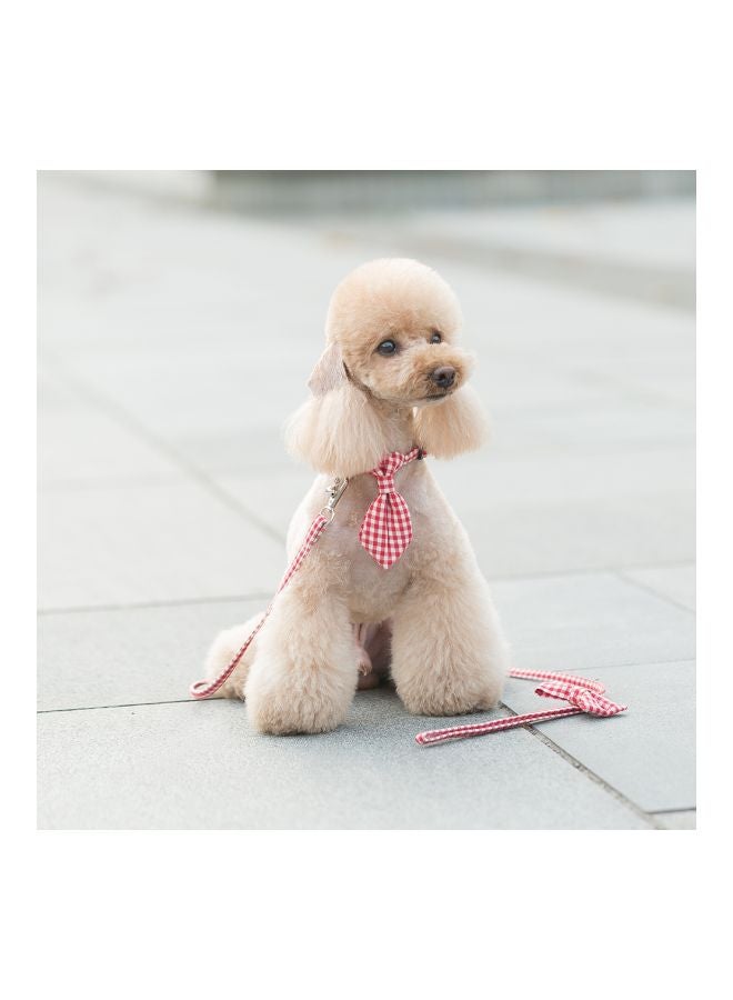 Cloth Art Dog Collar With Belt Red/White - Image 4
