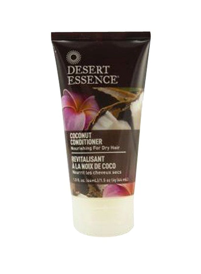 بلسم بجوز الهند