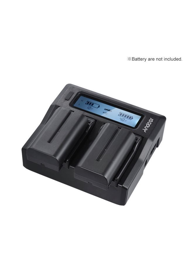 ANDOER Dual Channel Camera Battery Charger For Sony Black - Image 2