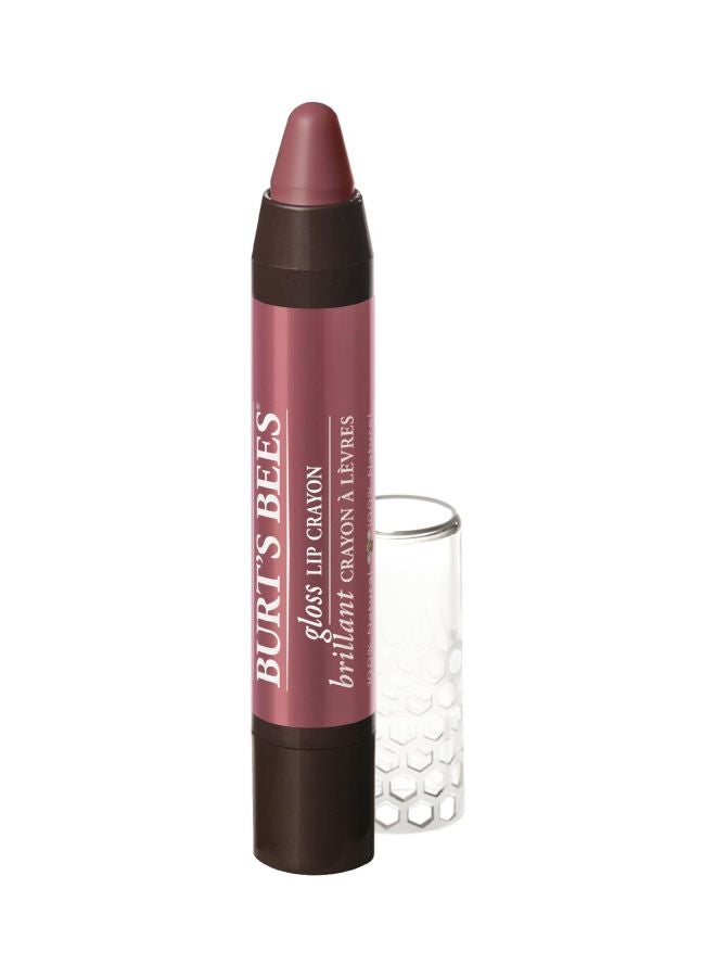 Burt's Bees Natural Gloss Lip Crayon Purple 
