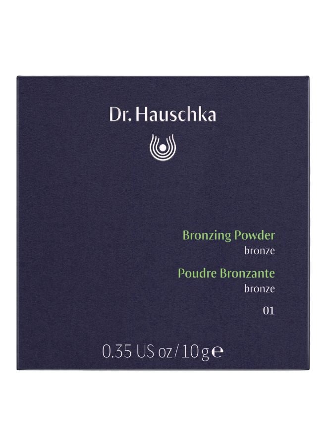 Bronzing Powder 01 Bronze - v1563341887/N28241805A_1