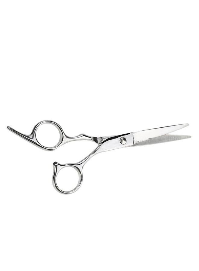 Hair Cutting Scissors Silver