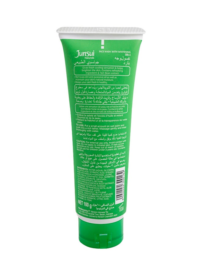 Junsui - Natural Whitening Cool Face Wash 100grams - Image 1