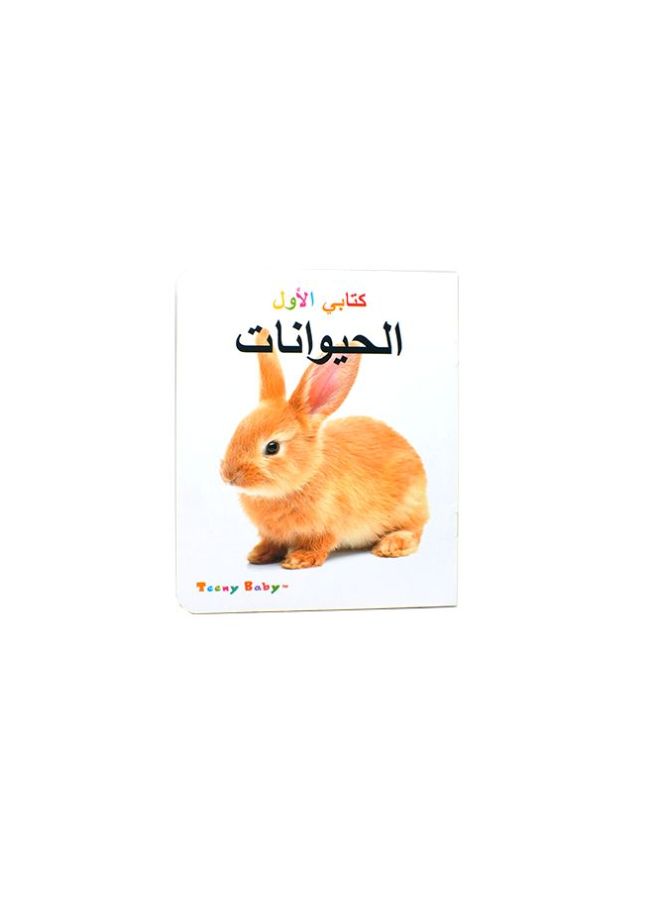 كتاب الأطفال تيني أحمر/ أصفر/برتقالي - v1563695354/N28529559A_4