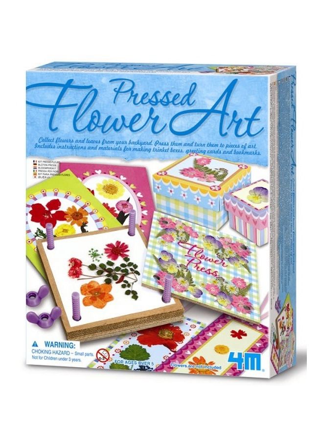 4M مجموعة زهور فنية مضغوطة