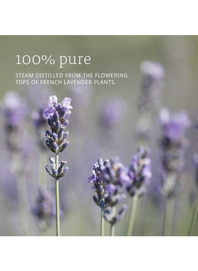 Now Foods - Pure Lavender Essential Oil Clear 30ml - Image 1