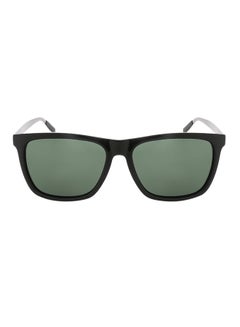 Polarized Wayfarer Sunglasses