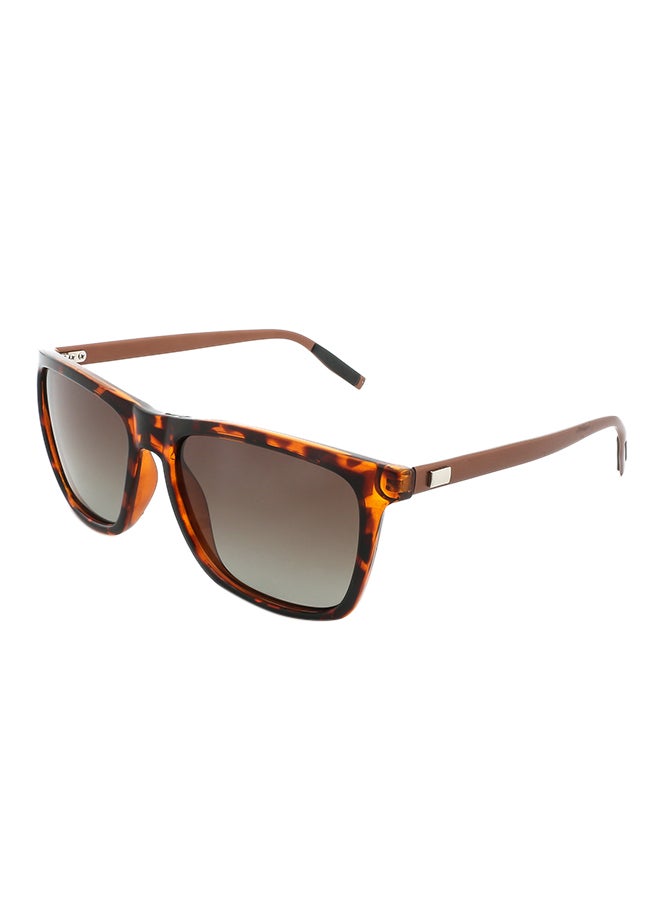 Sharpdo Polarized Wayfarer Sunglasses - Image 1