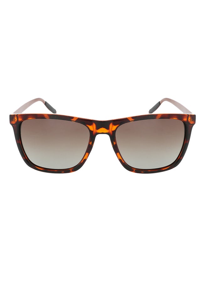 Sharpdo Polarized Wayfarer Sunglasses - Image 3