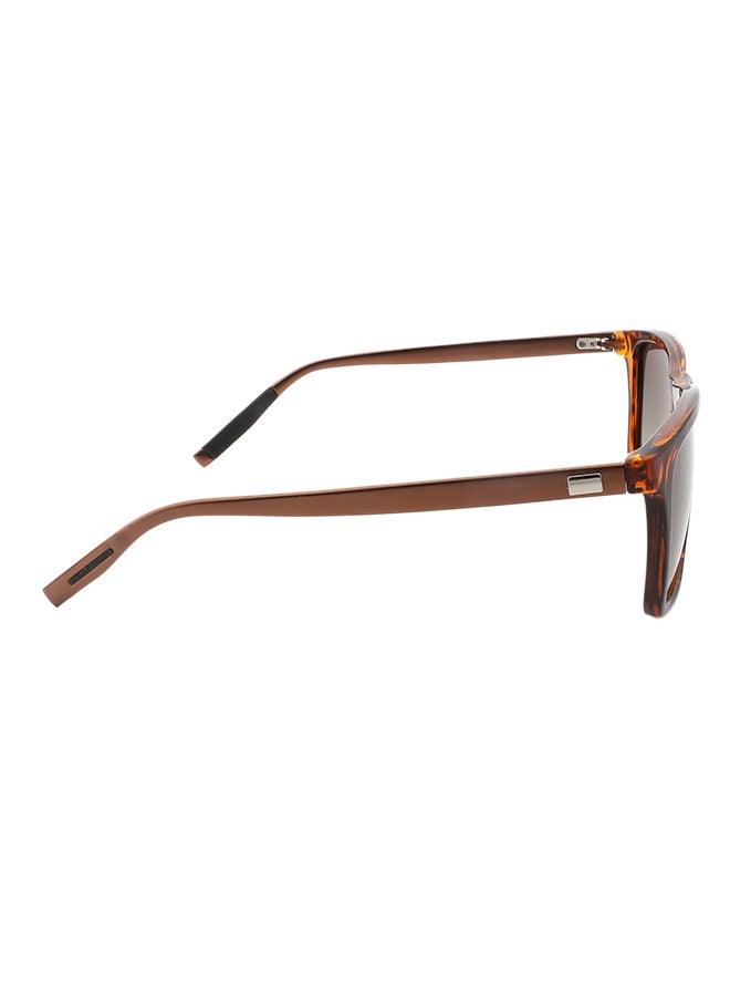 Sharpdo Polarized Wayfarer Sunglasses - Image 4