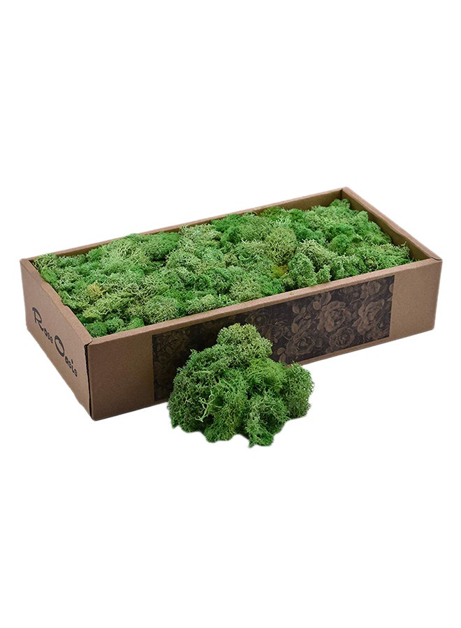 Yatai - Natural Preserved Dried Moss Grass Green 36.5x18.5x8centimeter - Image 1