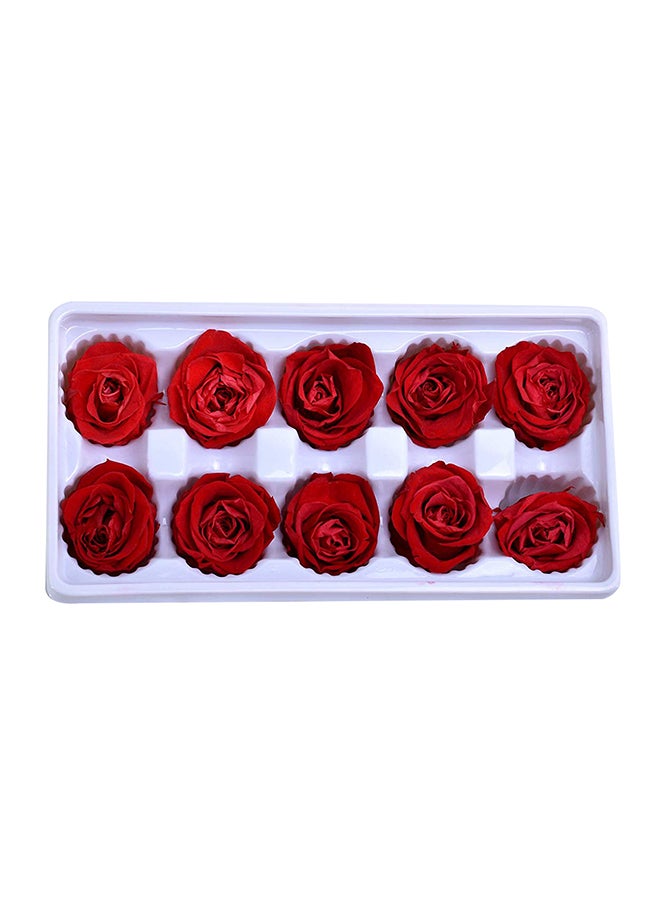 Yatai 10-Piece Preserved Rose Flowers Gift Box Set Red - Image 1
