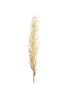 Yatai Dried Reed Single Head Feather For Home Décor Beige 134x57cm  - Image 1