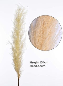 Yatai Dried Reed Single Head Feather For Home Décor Beige 134x57cm  - Image 2
