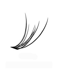 SHIDISHANGPIN False Eyelashes Set Black  - Image 4