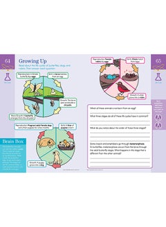 Summer Brain Quest: Between Grades 2 & 3 - Paperback English by Walker Workman Publishing - 18/04/2017  - Image 5