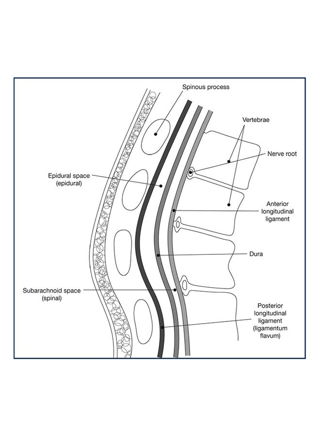 MRCS Part A: Essential Revision Notes Book 1 Paperback English by Claire Ritchie Chalmers - 12/10/2012 - Image 5
