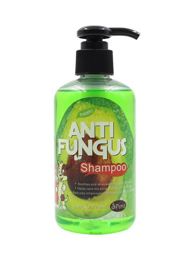 شامبو مضاد للفطريات أخضر 250ملليلتر