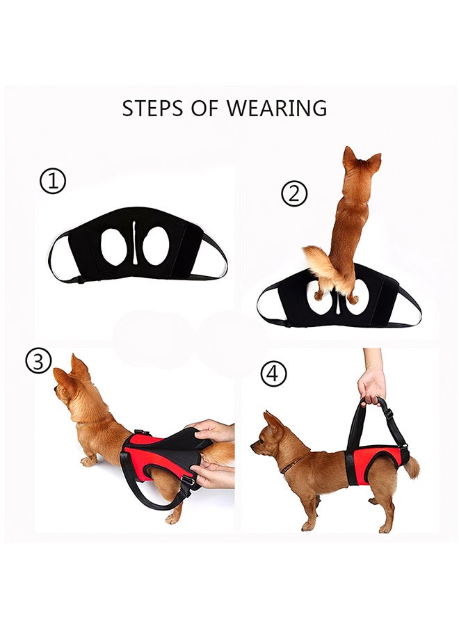 Generic Recovery Training Hind Leg Lifting Harness Orange/Black 260grams - Image 4