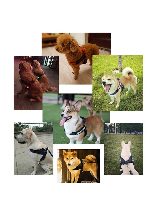 فيست قابل للتعديل بحزام واقٍ لكلب الخدمة أسود/أزرق L - Image 4