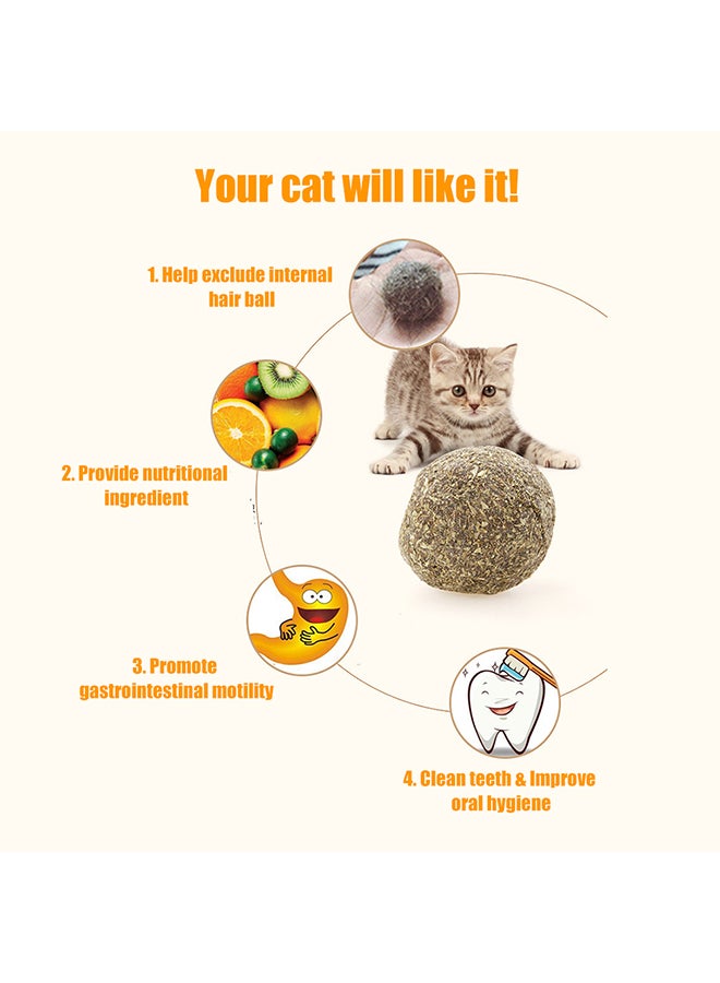 Generic - 5-Piece Catnip Chew Toy Green/Brown 50grams - Image 1