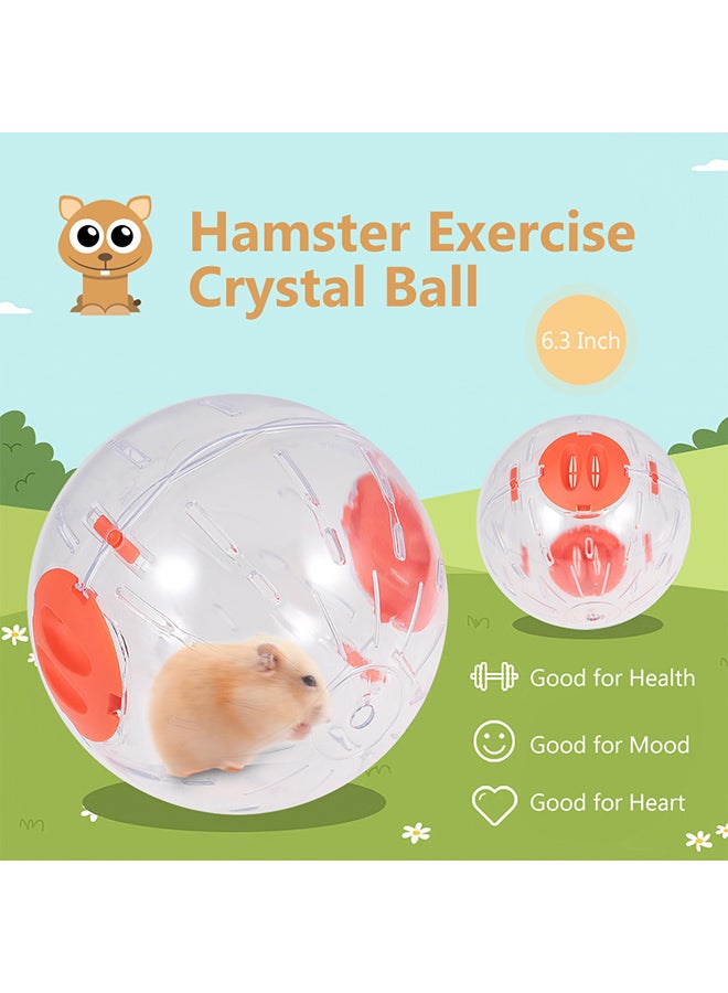 Crystal Exercise Ball Orange/Clear 6.3inch - Image 4