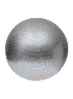 Kanteen Store Fitness Swiss Yoga Ball - 65 cm 65cm  - Image 1